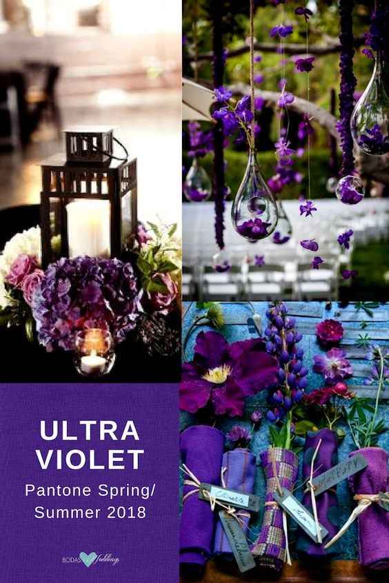 Morado 6