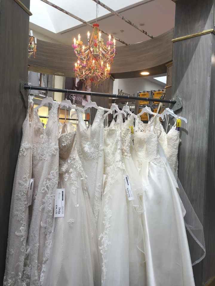 Expoboda 6