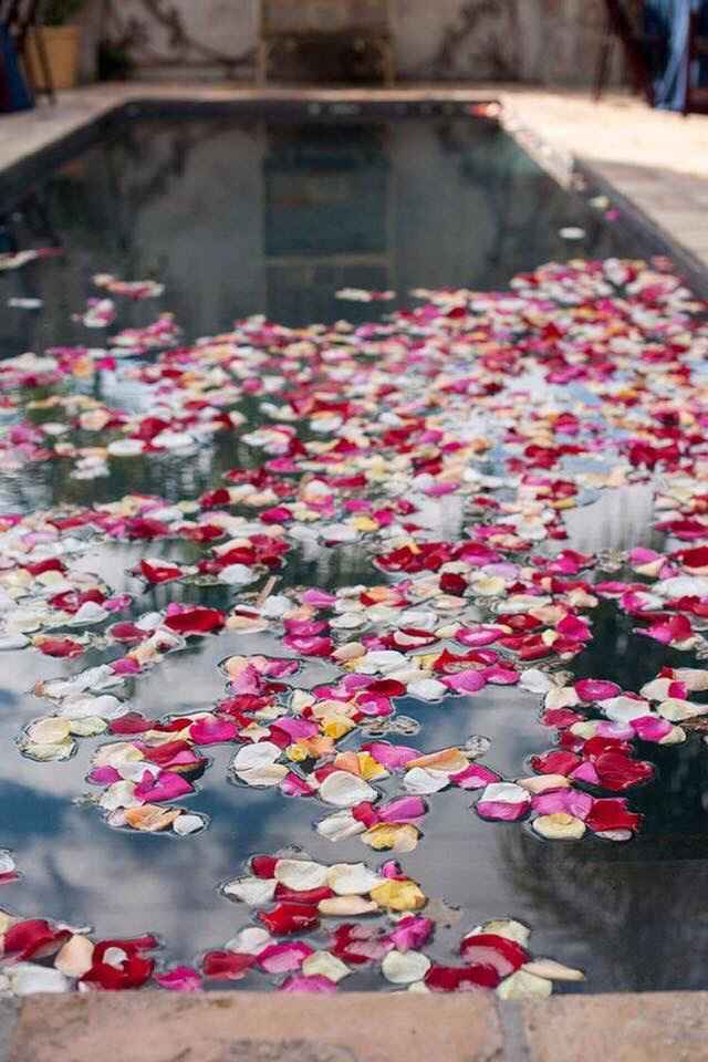 Decoración de flores en la alberca - 5