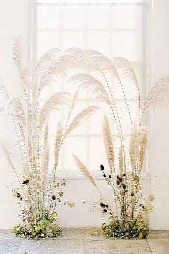 Pampas como decoración - 1