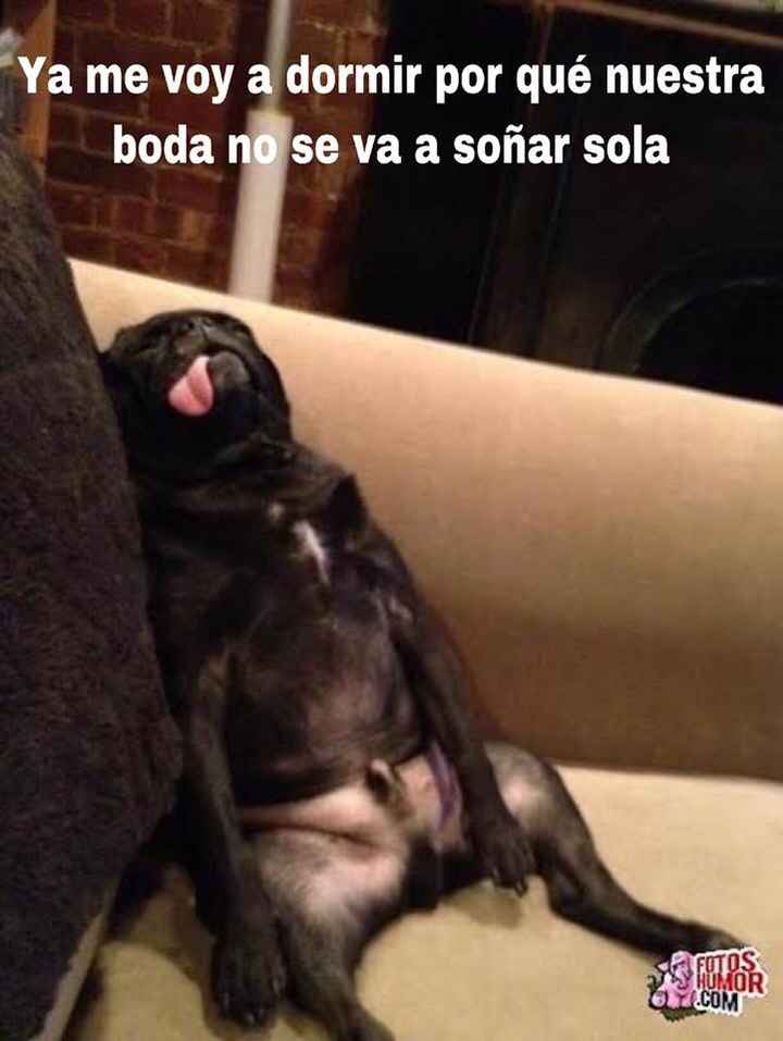 Humor de martes - 1