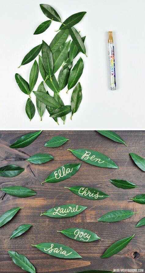 Plantas en La mesas - 9