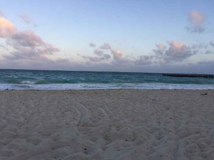 honeymoon - 1