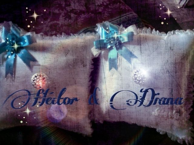 Mis avances anillos y cojines - 2