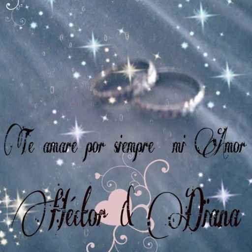 Mis avances anillos y cojines - 1