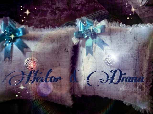 Mis avances anillos y cojines - 2