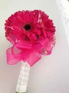 Mis avances anillos y cojines - 3