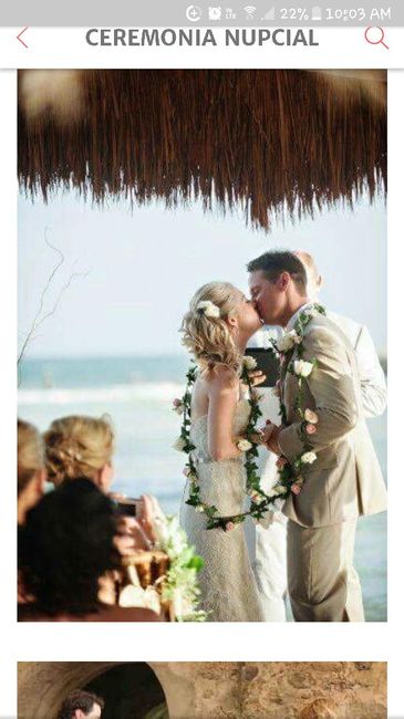 Lazos con flores - 1