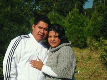 Cortando el Arbolito 2012