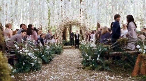 🌲🌲ya tenemos el lugar perfecto  🌲🌲 - 1