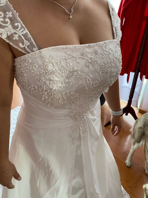 ¡VOTA! Batalla de escotes: ¿corazón o palabra de honor? 1