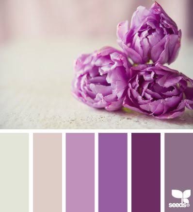 Colores: paleta de colores en morado - 3