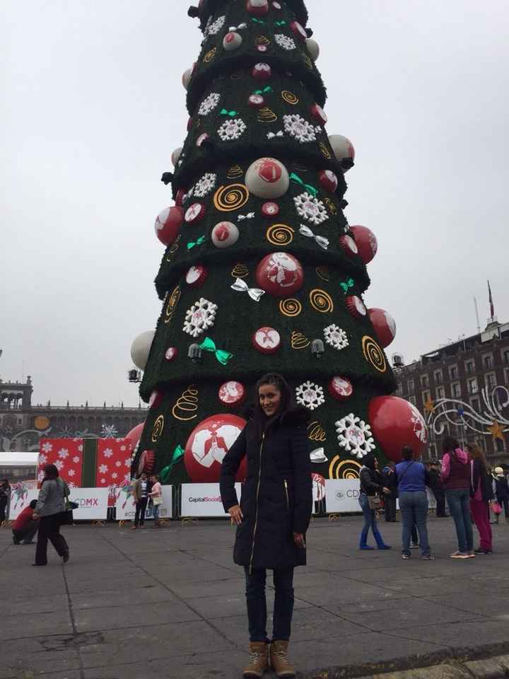 Huele a navidad!! - 1