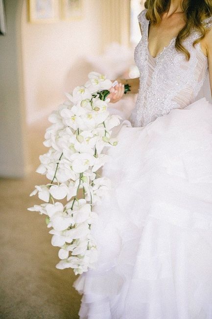 Uno de los mejores dias de mi vida