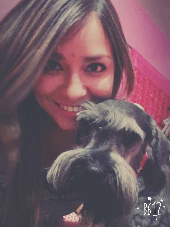 Presenten mascotas.... - 1