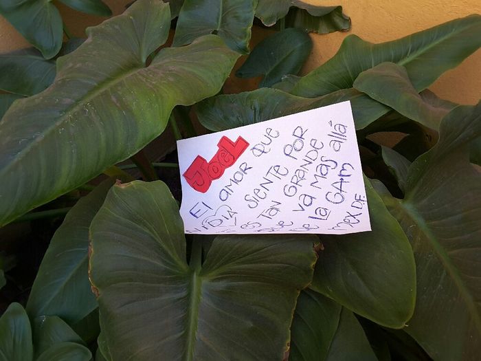 Agradecer y pedir favor - 1