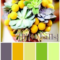 colores