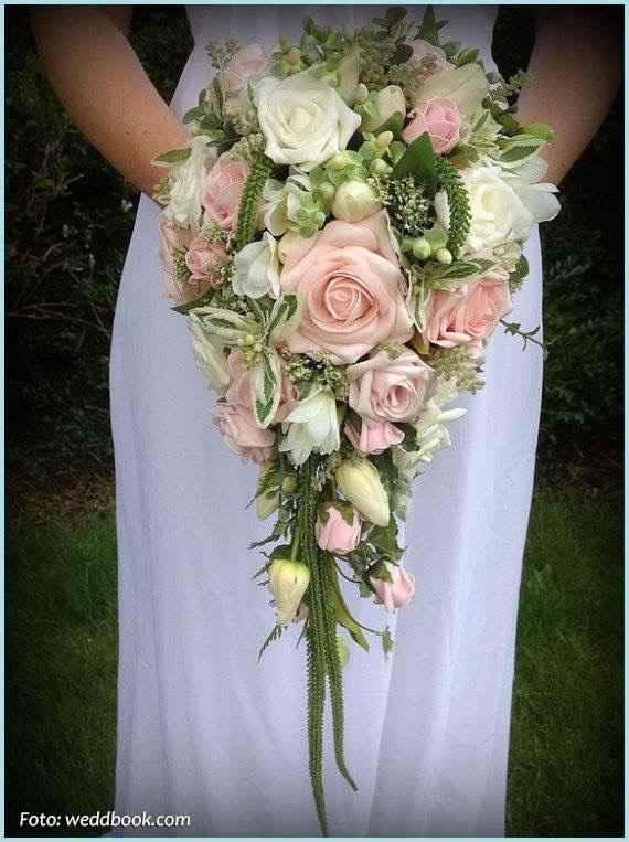 Presume tu ramo! - 1