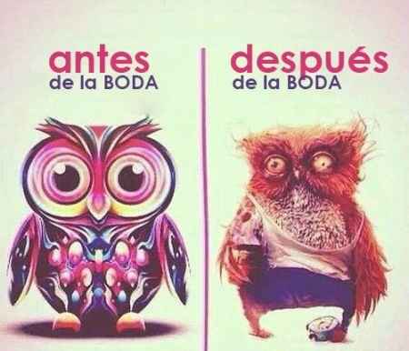 antes/despues