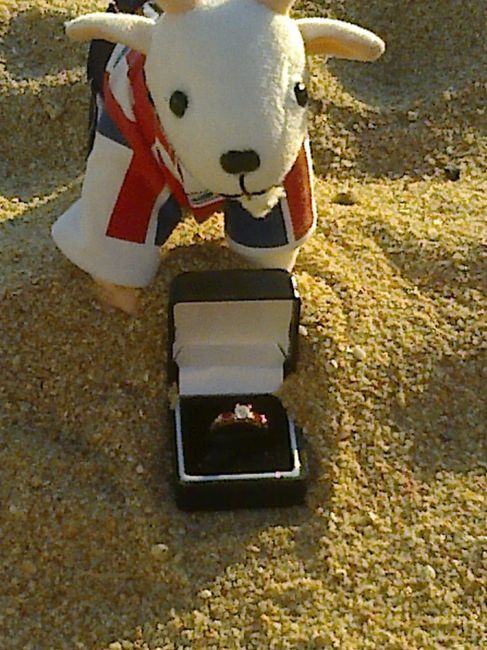 mi anillo de compromiso