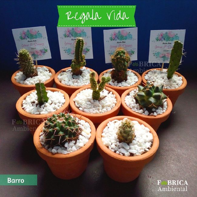 Regalitos para invitados - 3