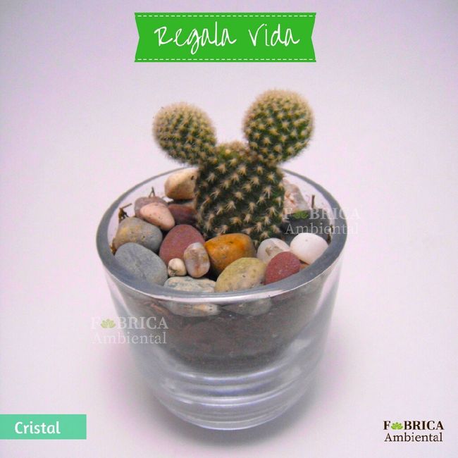 Regalitos para invitados - 6