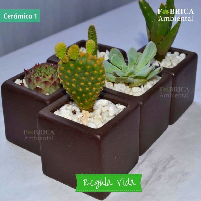 Regalitos para invitados - 13
