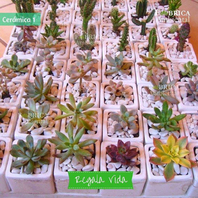 Regalitos para invitados - 14