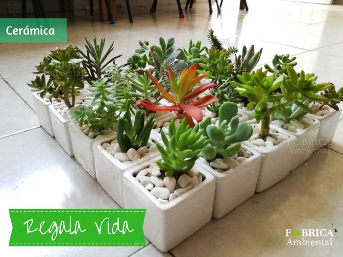 Regalitos para invitados - 16