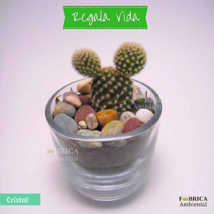 Regalitos para invitados - 6