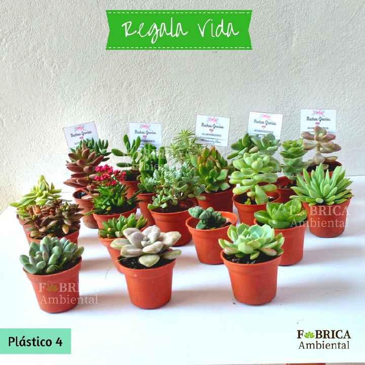 Regalitos para invitados - 7