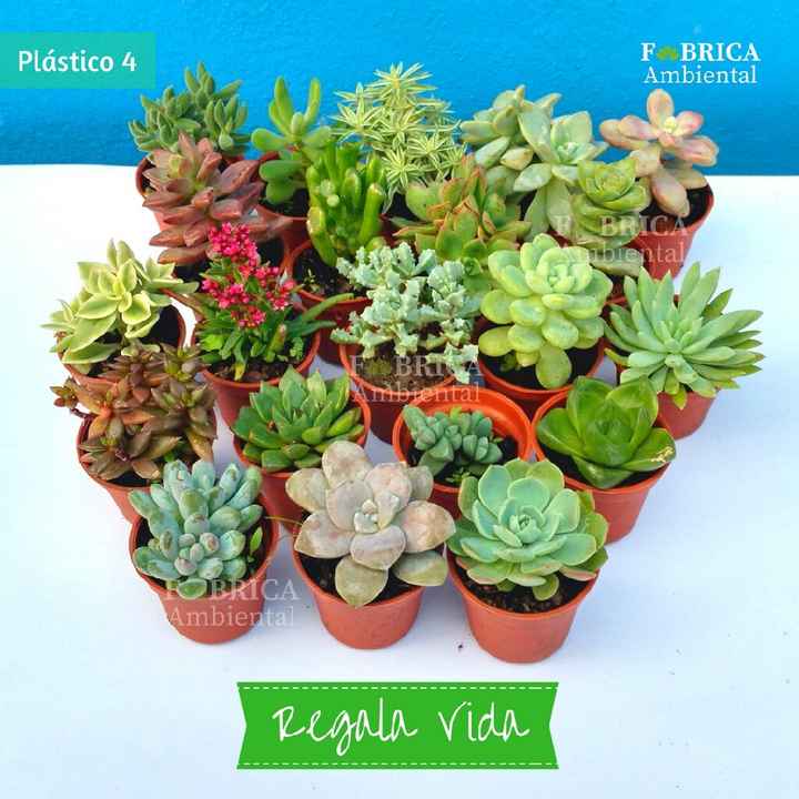 Regalitos para invitados - 11