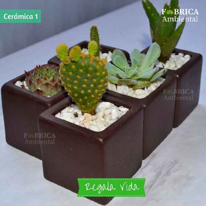 Regalitos para invitados - 12