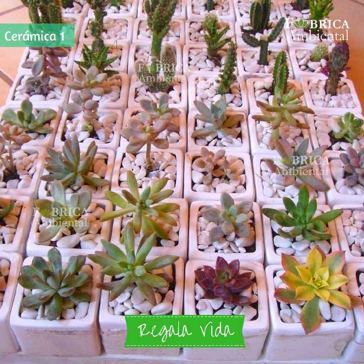 Regalitos para invitados - 14