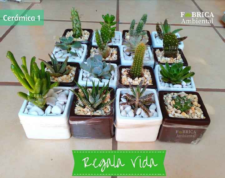 Regalitos para invitados - 18