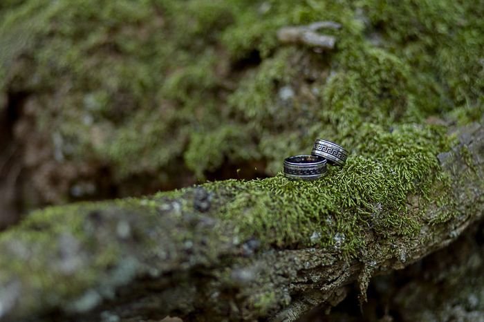 Anillos de matrimonio ¿Lisos o con diamantes? 💍 4