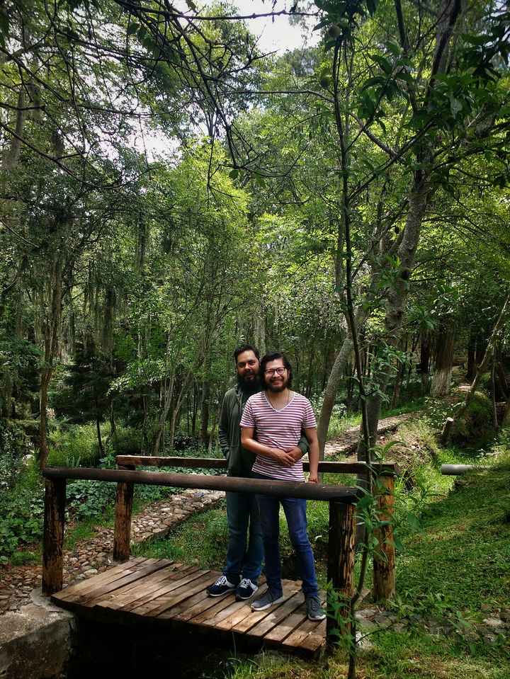 ¿Te gustaría casarte en una hacienda? 🏯 - 2