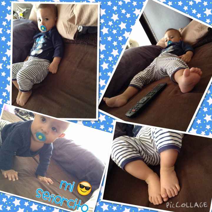 Mi bb