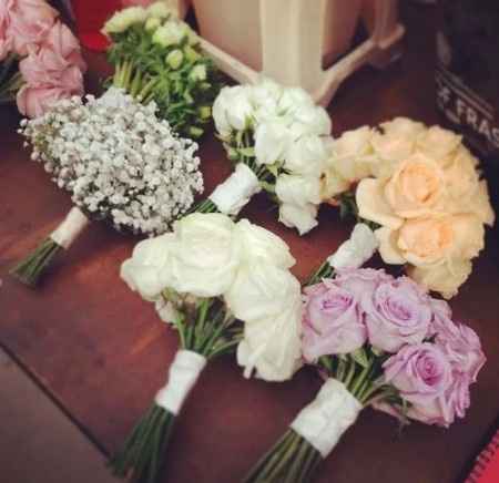 Cual les gusta? - 1