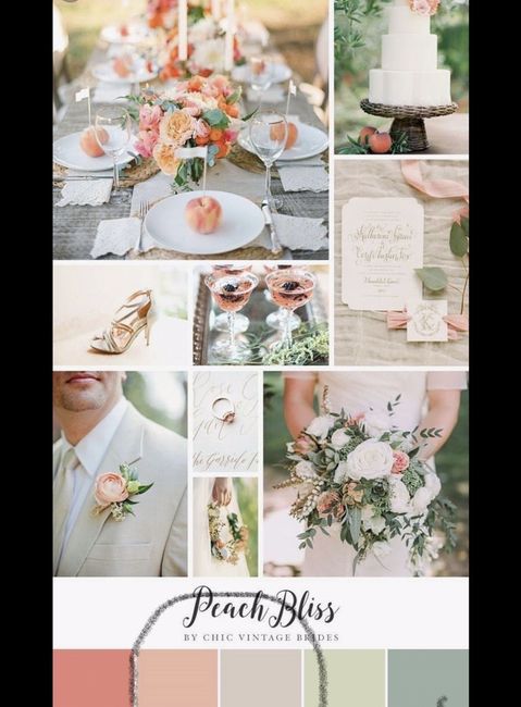 ¿Qué tonos elijo? 23