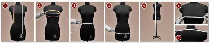 Cómo tomar tus medidas