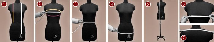 Cómo tomar tus medidas