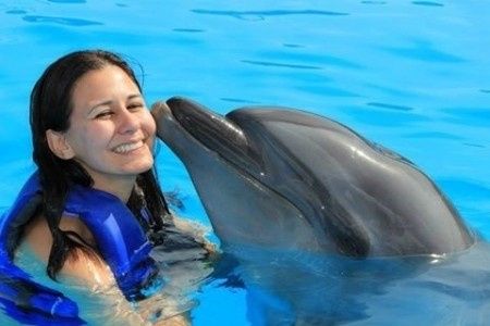 Nado con Delfines