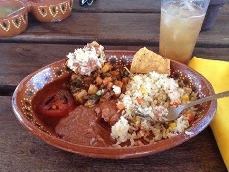 Paseo en Camello Cabo San Lucas