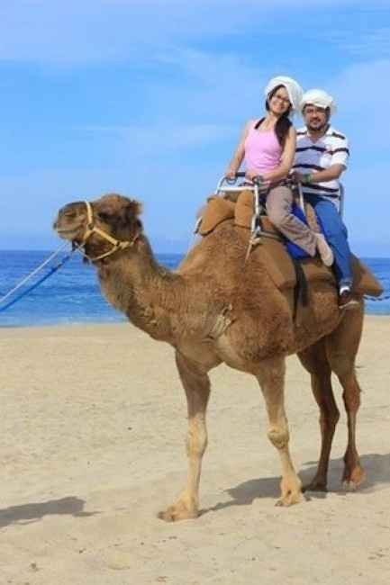 Paseo en Camello Cabo San Lucas