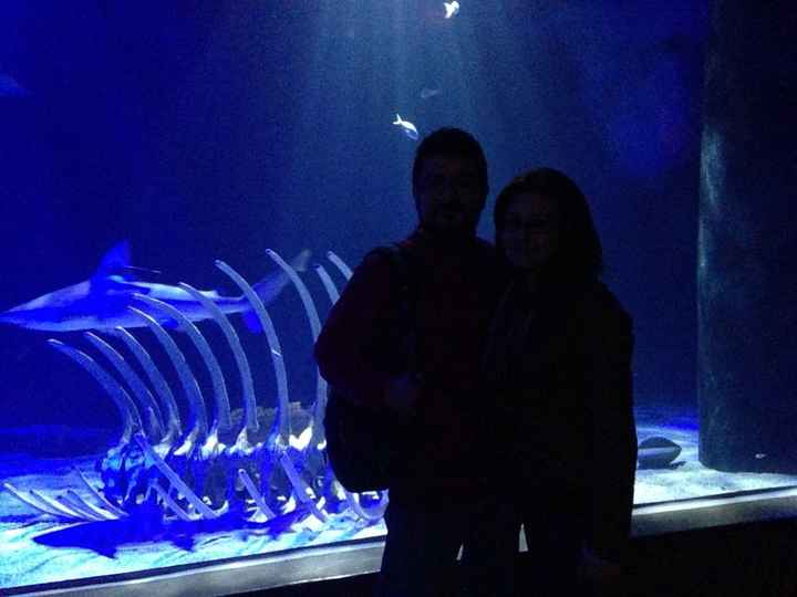 Aniversario no 1 - 8