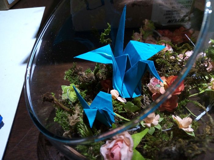 Avances de Diciembre-enero 3