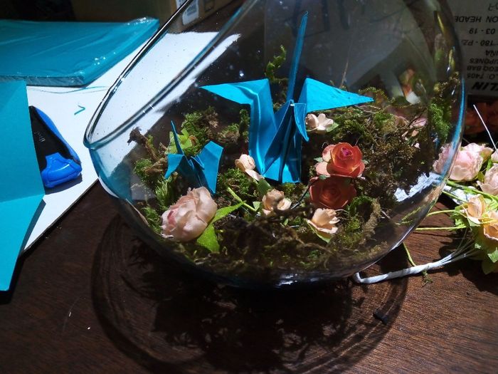 Avances de Diciembre-enero 4