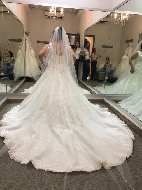 ¿Que vestido no te quedaste? Fotos!👰 13