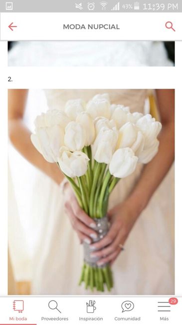 My wishlist - thalía - 4